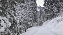Winterwanderweg im Bärgunttal | © Kleinwalsertal Tourismus eGen