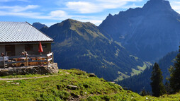 Alpe Innerer Stierhof – mit Blick auf den Großen Widderstein | © Kleinwalsertal