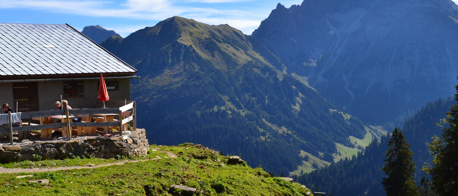 Alpe Innerer Stierhof – mit Blick auf den Großen Widderstein | © Kleinwalsertal