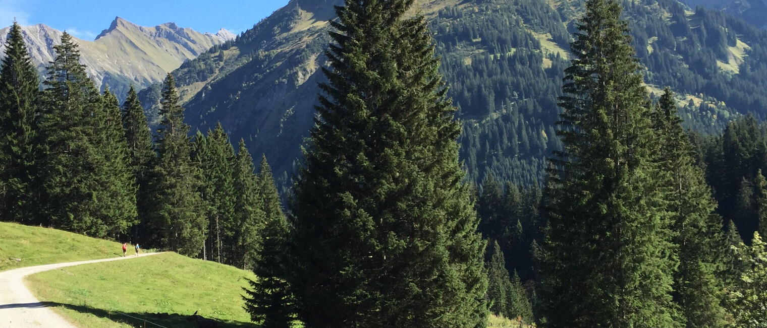 Duratal mit Blick auf den Bärenkopf | © Kleinwalsertal Tourismus eGen