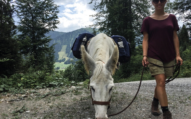 Eselwandern im Mahdtal | © Kleinwalsertal Tourismus | Fotograf: Carolin Schratt