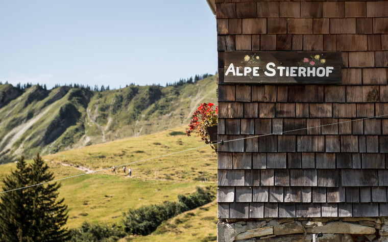 Alpe Stierhof | © Kleinwalsertal Tourismus eGen | Fotograf: Andre Tappe