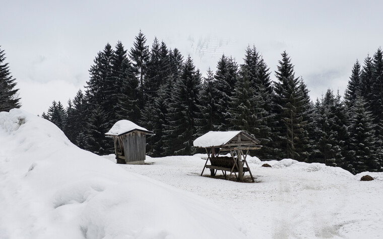 Wild-Futterstelle im Winter | © Kleinwalsertal Tourismus eGen | Fotograf: Andre Tappe