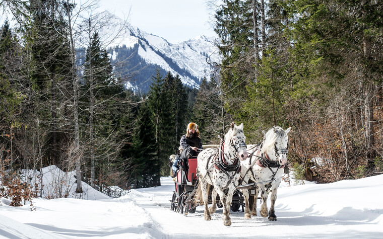  Peter Hammerer on sleigh ride | © Kleinwalsertal Tourismus eGen | Photographer: Dominik Berchtold