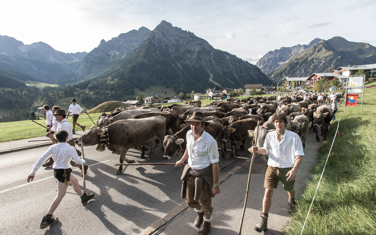 traditioneller Alpabtrieb im Kleinwalsertal | © Kleinwalsertal Tourismus eGen | Fotograf: Frank Drechsel