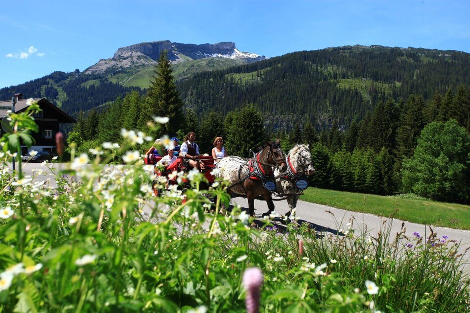 Hammerer´s Kutschen- und Pferdeschlittenfahrten | © Kleinwalsertal Tourismus