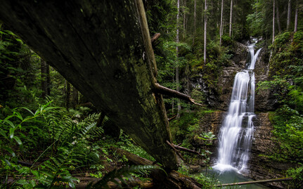 Wasserfälle im Kleinwalsertal | © Kleinwalsertal Tourismus | Dominik Berchtold
