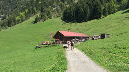 Wanderung zur Hütte Gemstel Schönesboden | © Kleinwalsertal Tourismus eGen
