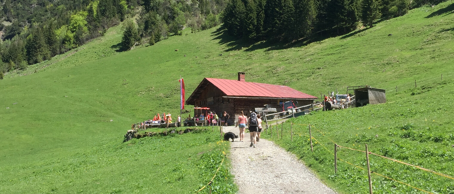 Wanderung zur Hütte Gemstel Schönesboden | © Kleinwalsertal Tourismus eGen