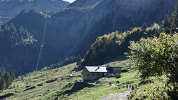 Wanderweg inmitten der Berglandschaft im Gemsteltal | © Kleinwalsertal Tourismus eGen 