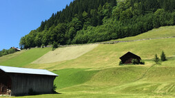 Wandertour in Bödmen am Mittelberg | © Kleinwalsertal