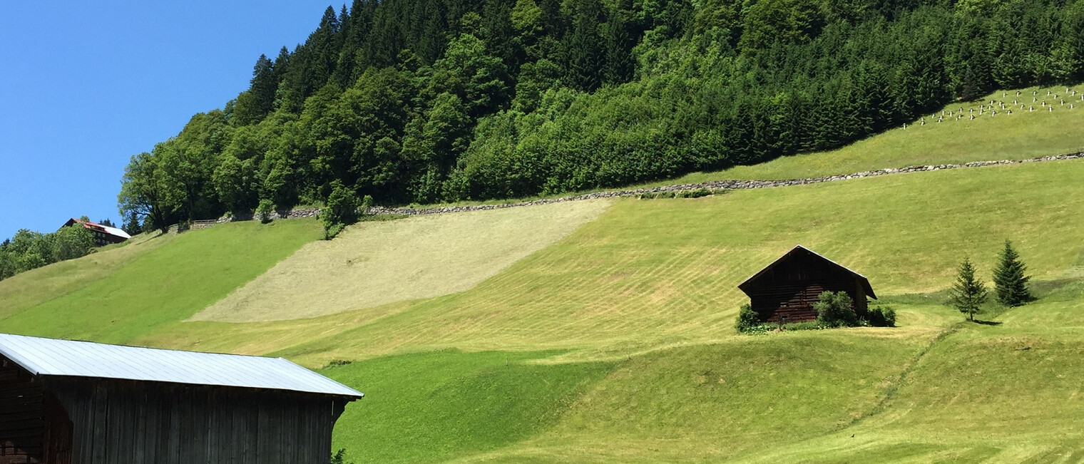 Wandertour in Bödmen am Mittelberg | © Kleinwalsertal Tourismus eGen