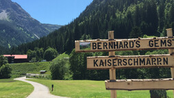 Wegweiser im Gemsteltal | © Kleinwalsertal