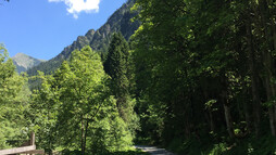 Wanderweg an der Breitach | © Kleinwalsertal