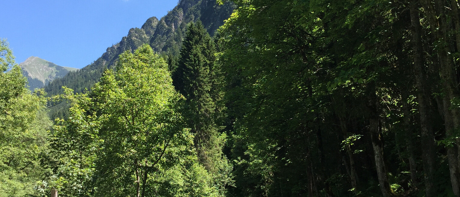 Wanderweg an der Breitach | © Kleinwalsertal Tourismus eGen