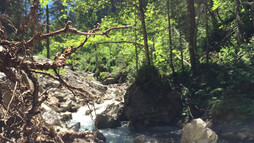 hiking Gemstelbach | © Kleinwalsertal Tourismus eGen