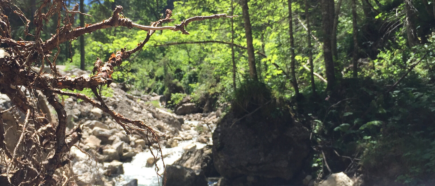 Rundwanderweg Gemstelbach | © Kleinwalsertal