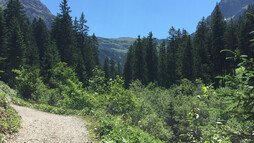 Rundwanderweg im Gemsteltal | © Kleinwalsertal