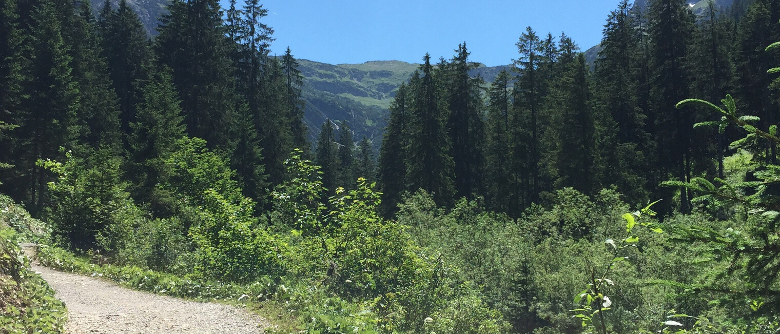 Rundwanderweg im Gemsteltal | © Kleinwalsertal Tourismus eGen