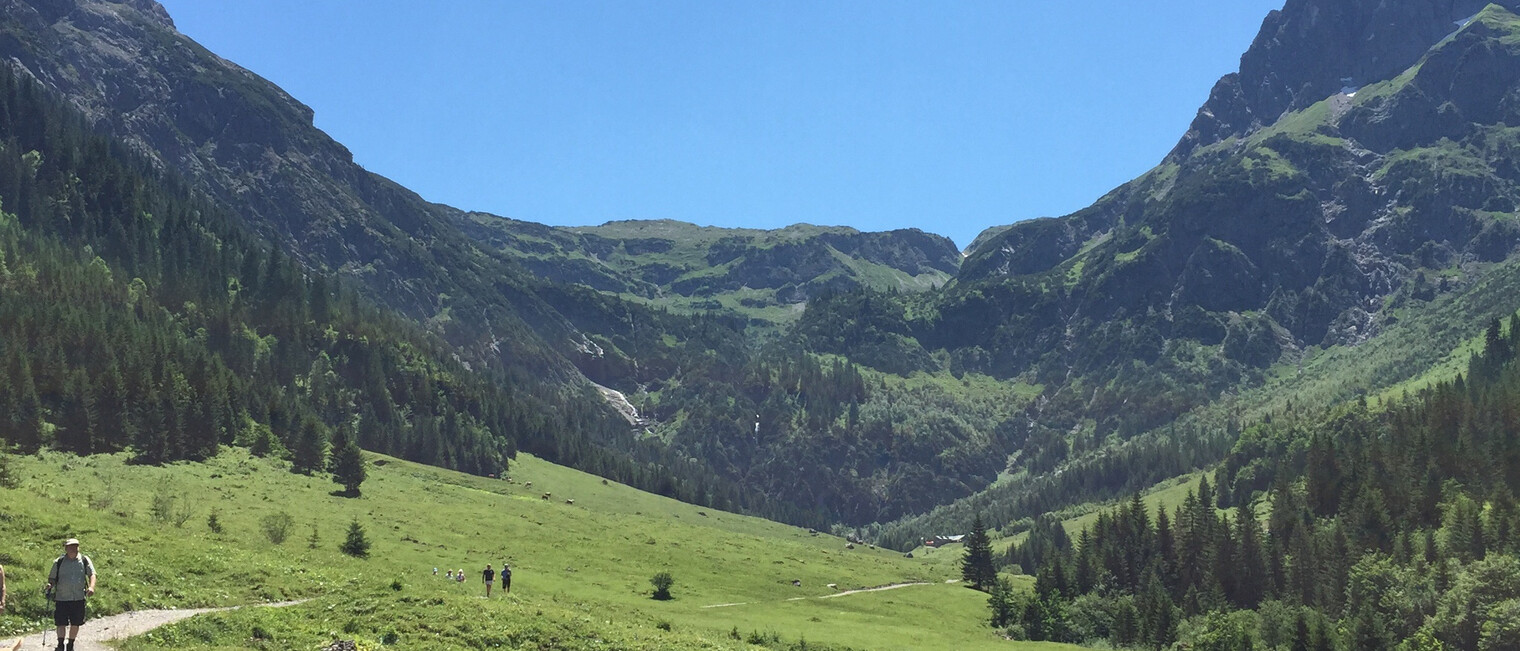 Wanderweg mit Blick auf den Elfer und kleinen Widderstein | © Kleinwalsertal