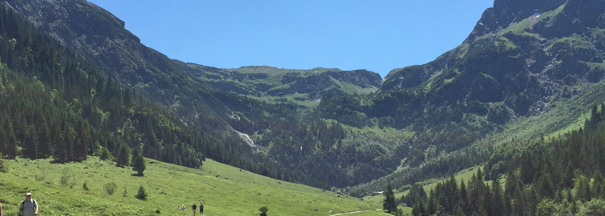 Wanderweg mit Blick auf den Elfer und kleinen Widderstein | © Kleinwalsertal Tourismus eGen