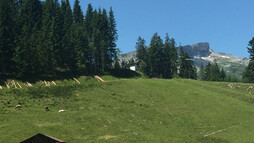 Ifenblick an der Bergstation Heuberglift | © Kleinwalsertal Tourismus eGen