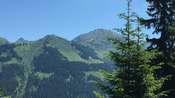 Kanzelwand, Kuhgehren und Hammerspitze | © Kleinwalsertal Tourismus eGen