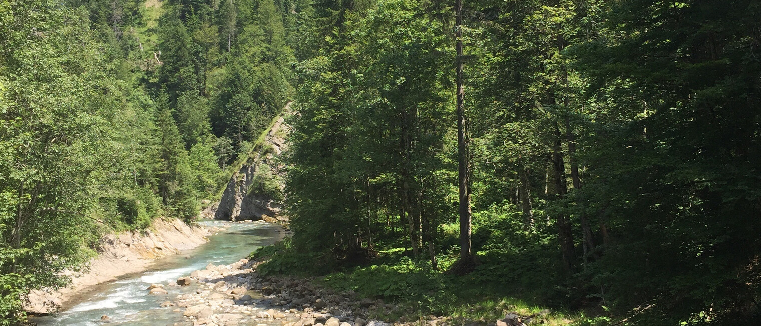 Brücke über die Breitach | © Kleinwalsertal