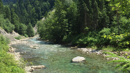 Ruhig plätschert die Breitach hier durch das Kleinwalsertal | © Kleinwalsertal