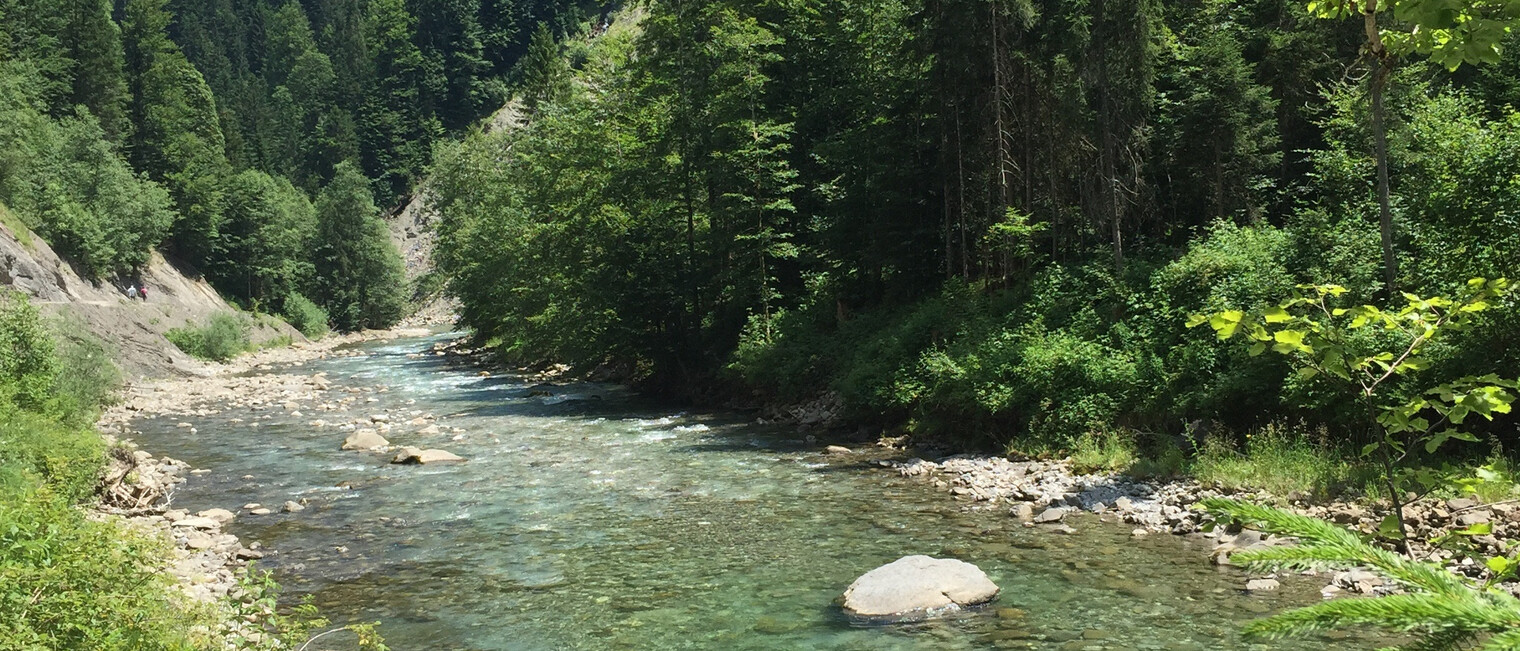 Ruhig plätschert die Breitach hier durch das Kleinwalsertal | © Kleinwalsertal