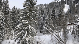 Winterwanderweg im Bärgunttal | © Kleinwalsertal Tourismus eGen