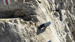 Kurze Passage mit Eisenklammern beim Abstieg | © Kleinwalsertal Tourismus eGen