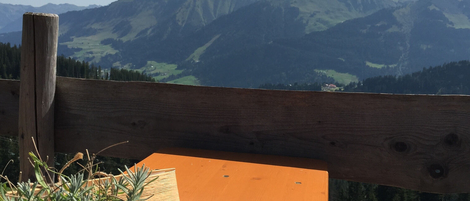 Ausblick von der Ifenhütte ins Kleinwalsertal | © Kleinwalsertal Tourismus eGen