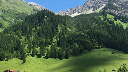 Blick auf den Elfer | © Kleinwalsertal Tourismus eGen