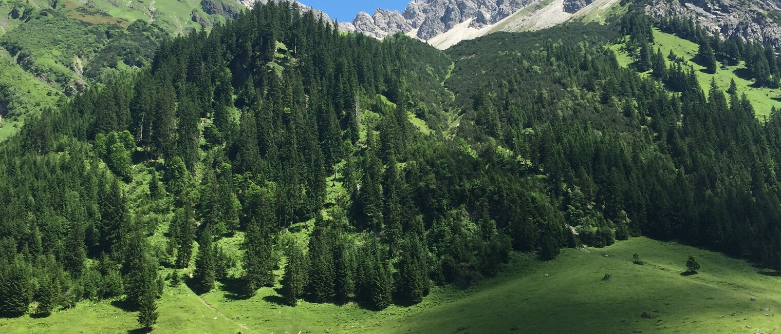 Blick auf den Elfer | © Kleinwalsertal Tourismus eGen