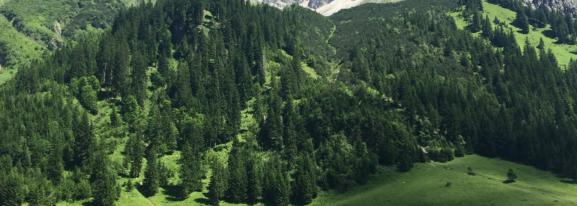 Blick auf den Elfer | © Kleinwalsertal Tourismus eGen