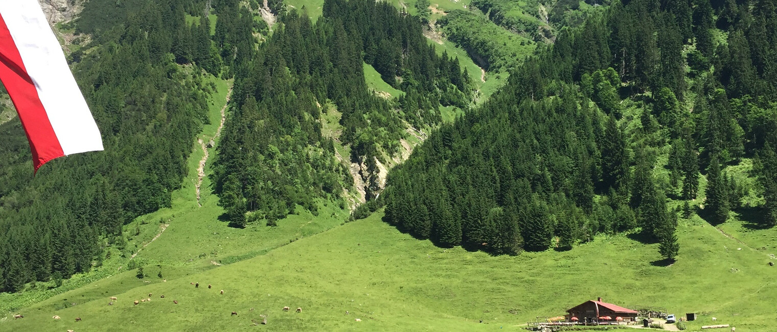 Auf Bernhards Gemstelhütte | © Kleinwalsertal Tourismus eGen