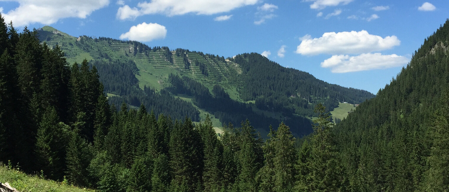 Aus dem Gemsteltal hinaus | © Kleinwalsertal Tourismus eGen