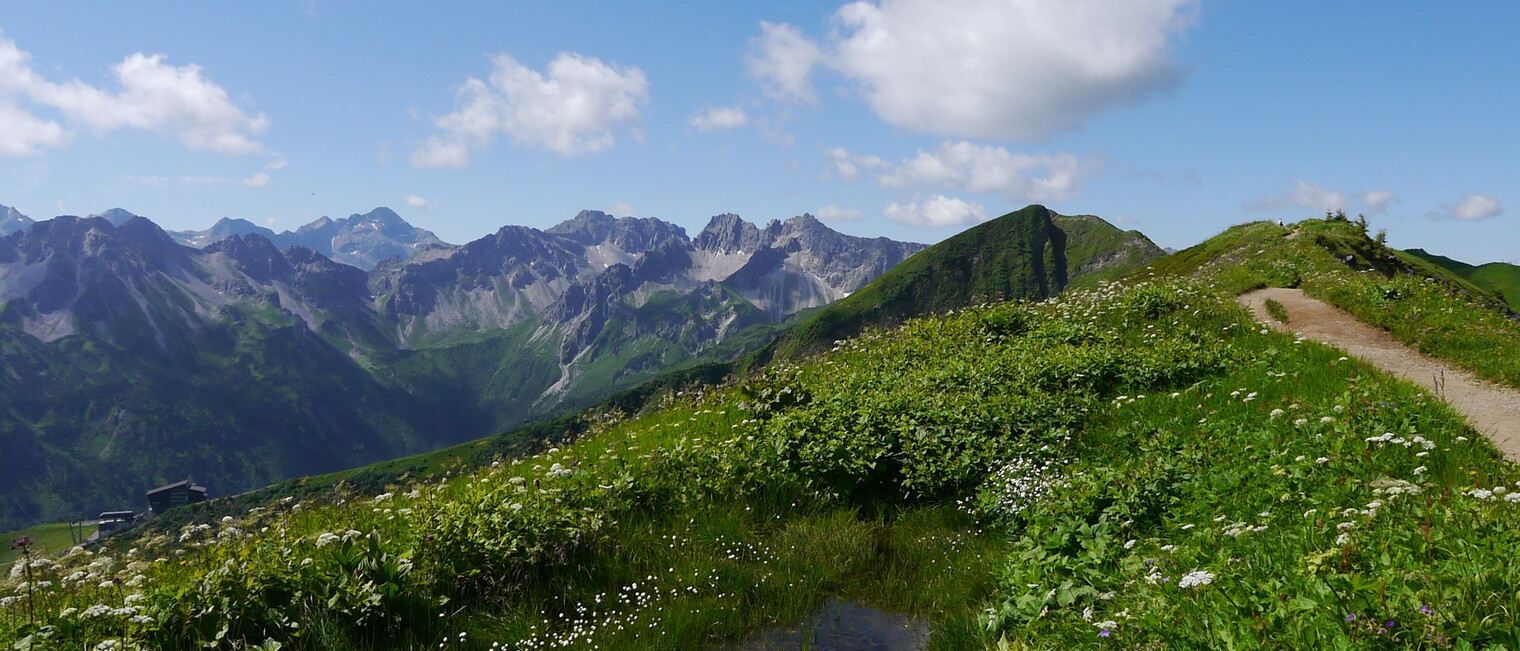 Am Schlappoltkopf | © Outdooractive Premium