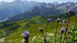 Beeindruckender Blick auf den Allgäuer Hauptkamm, vorn der Schlappoltsee und die Mittelstation der Fellhornbahn | © Outdooractive Premium