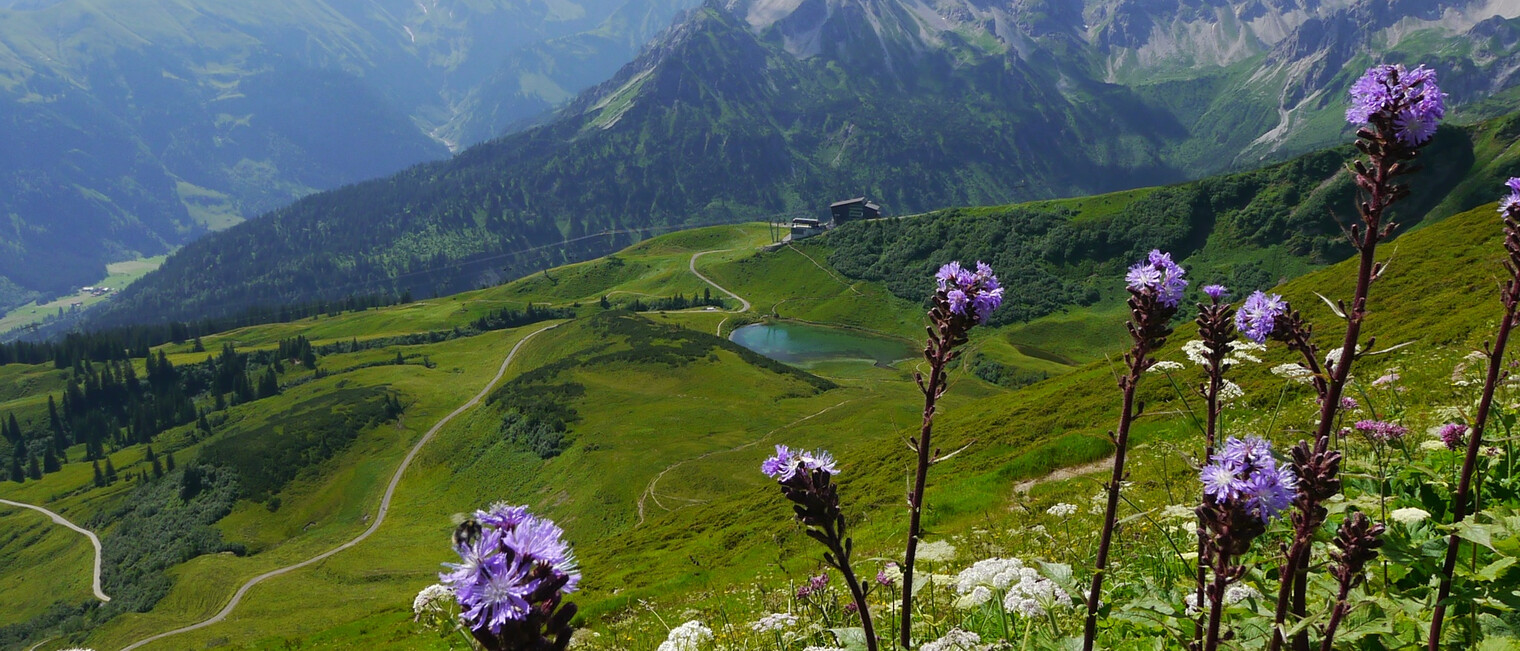 Beeindruckender Blick auf den Allgäuer Hauptkamm, vorn der Schlappoltsee und die Mittelstation der Fellhornbahn | © Outdooractive Premium