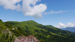 Blick zurück zum Fellhorn aus Richtung Kanzelwand | © Outdooractive Premium