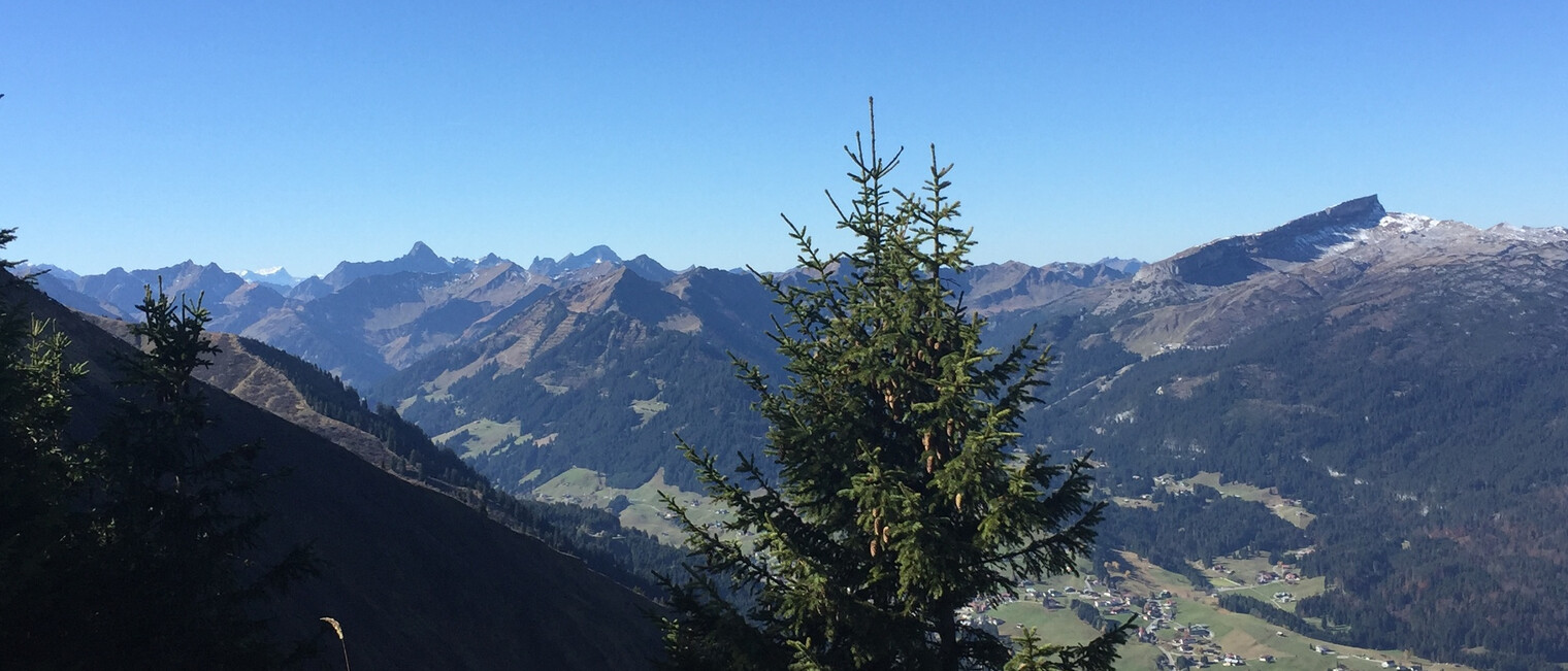 Am Fellhorngrat | © Kleinwalsertal Tourismus eGen