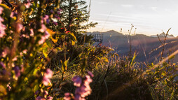 Sonnenaufgang Walmendingerhorn | © Kleinwalsertal Tourismus eGen