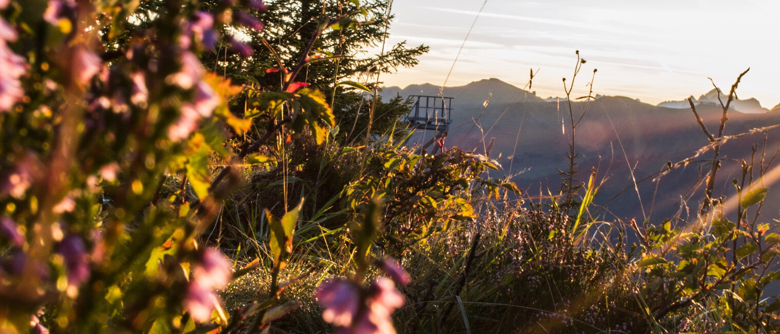 Sonnenaufgang Walmendingerhorn | © Kleinwalsertal Tourismus eGen