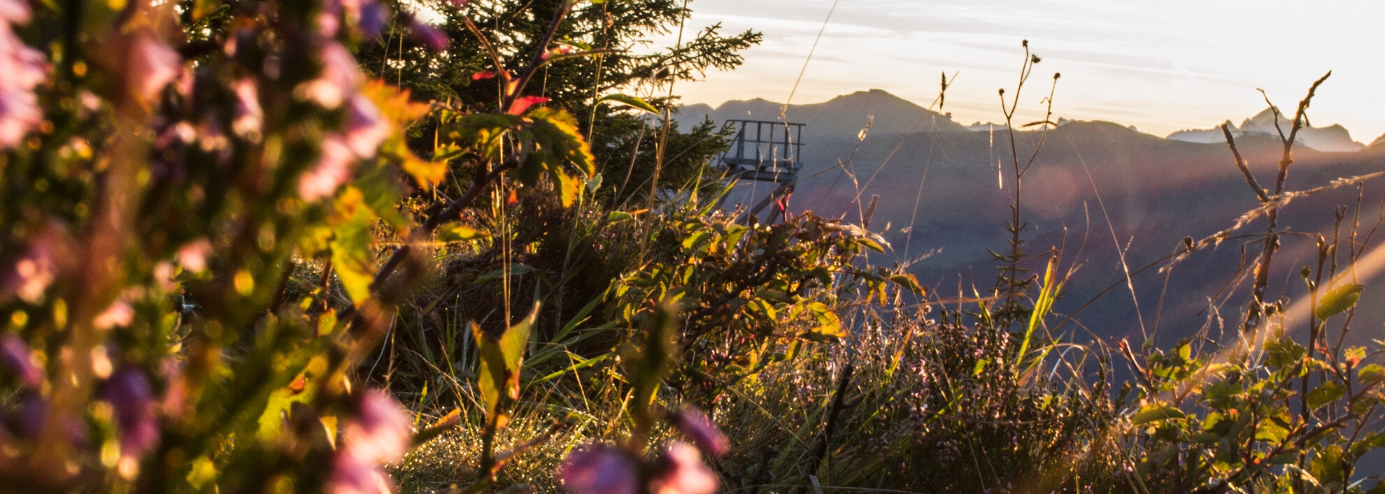 Sonnenaufgang Walmendingerhorn | © Kleinwalsertal Tourismus eGen