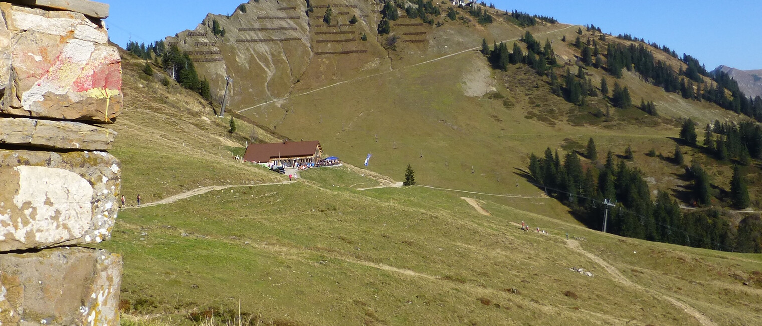 An der oberen Lüchlealpe im Sommer | © Outdooractive Premium