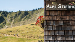 Alpe Stierhof | © Kleinwalsertal Tourismus eGen