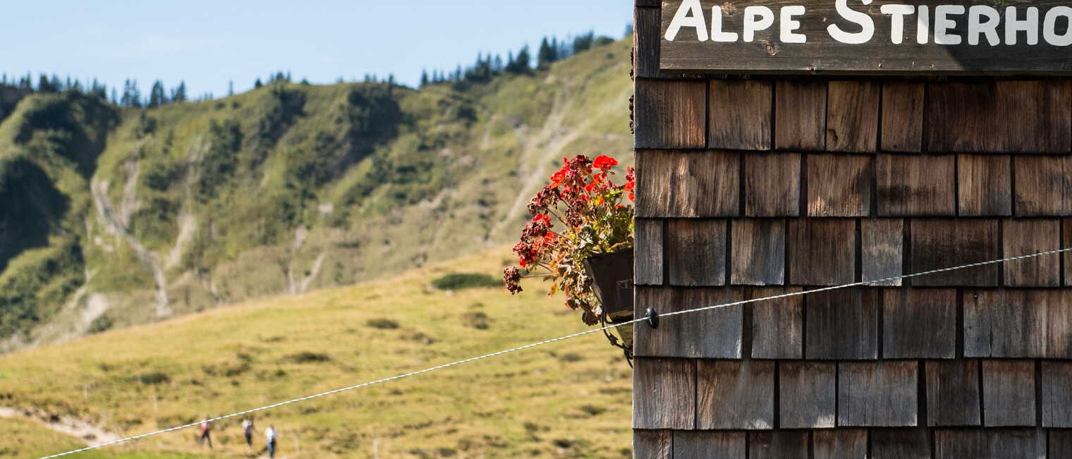 Alpe Stierhof | © Kleinwalsertal Tourismus eGen