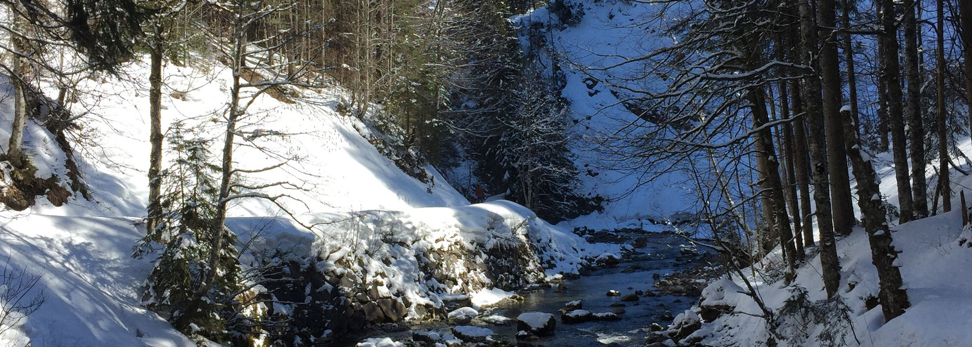 Schatten-Sonnen-Spiele am Schwarzwasserbach | © Kleinwalsertal Tourismus eGen